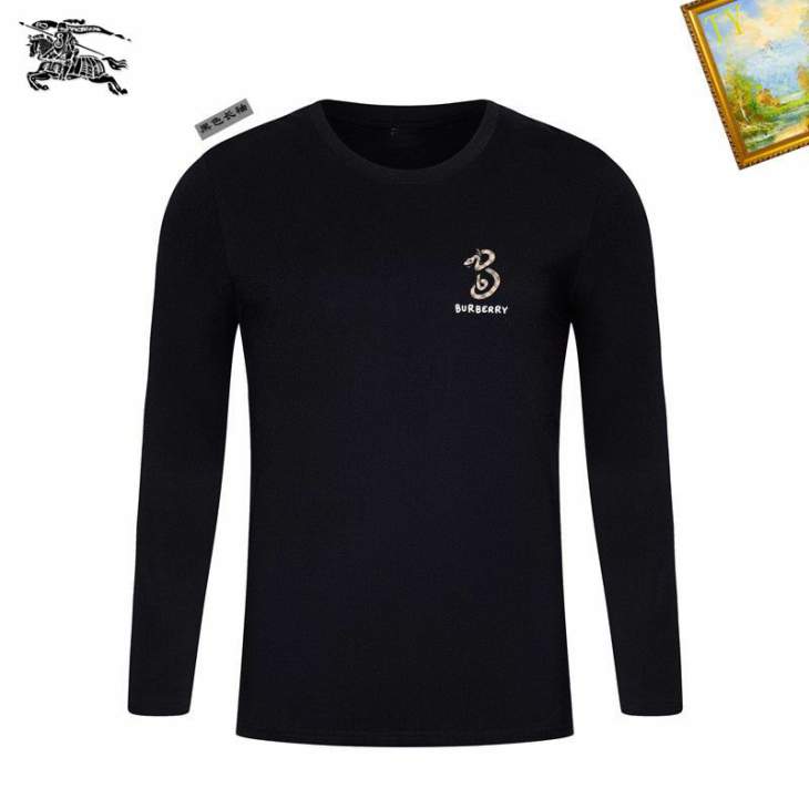 Picture of Burberry T Shirt Long _SKUBurberryS-4XL25tr5049956